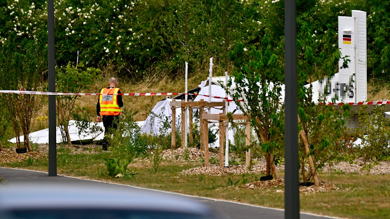 Tragic Plane Crash in France: 11 Dead on Skydiving Adventure