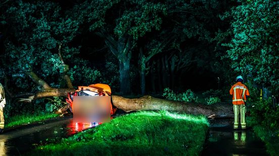 Tree falls on car near ‘t Haantje, occupant seriously injured