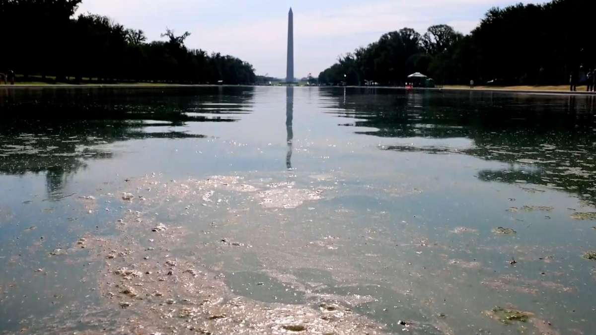 Trump Blames ‘Crazy, Confused People’ for Reflecting Pool Disaster!