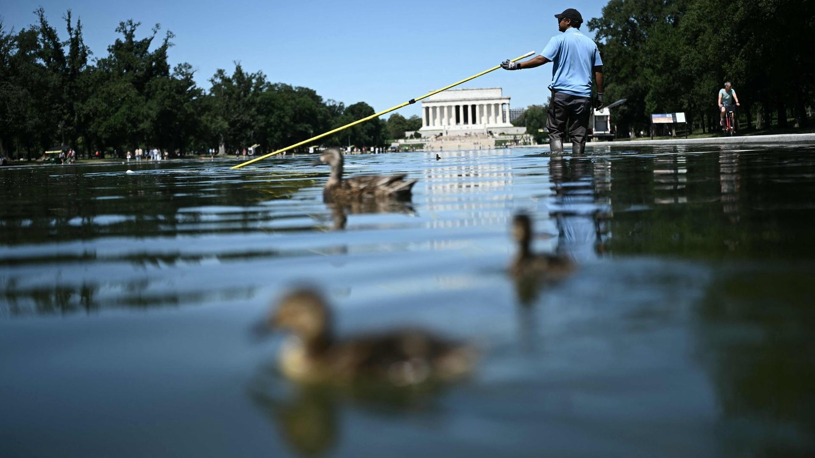 Trump’s Pool Incident at Lincoln Memorial Sparks Legal Turmoil: Dead Ducks?