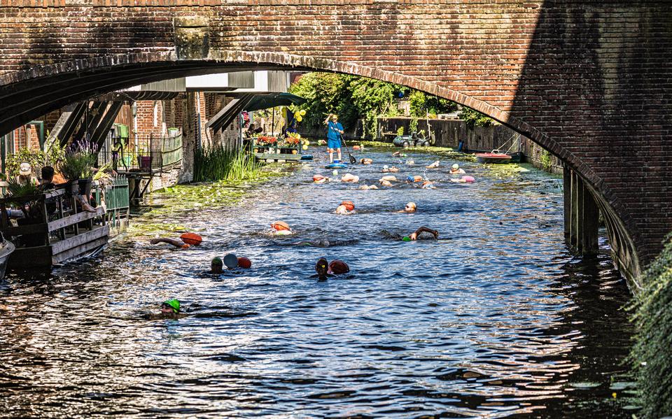 Univé Damster City Swim celebrates its 5th edition. Organization expects approximately 300 participants