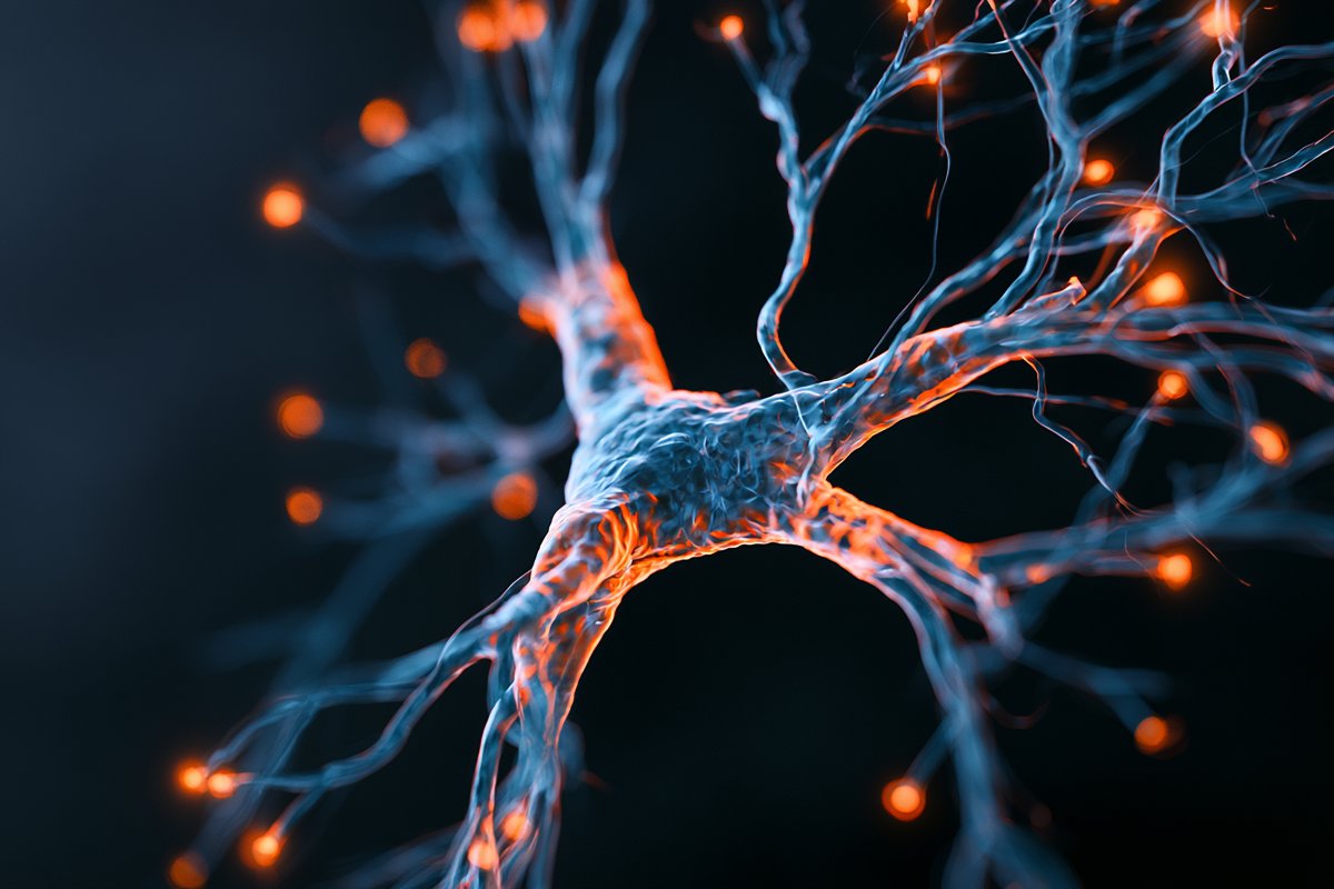 Unlocking Longevity: Stanford’s Blood Test Reveals True Biological Age