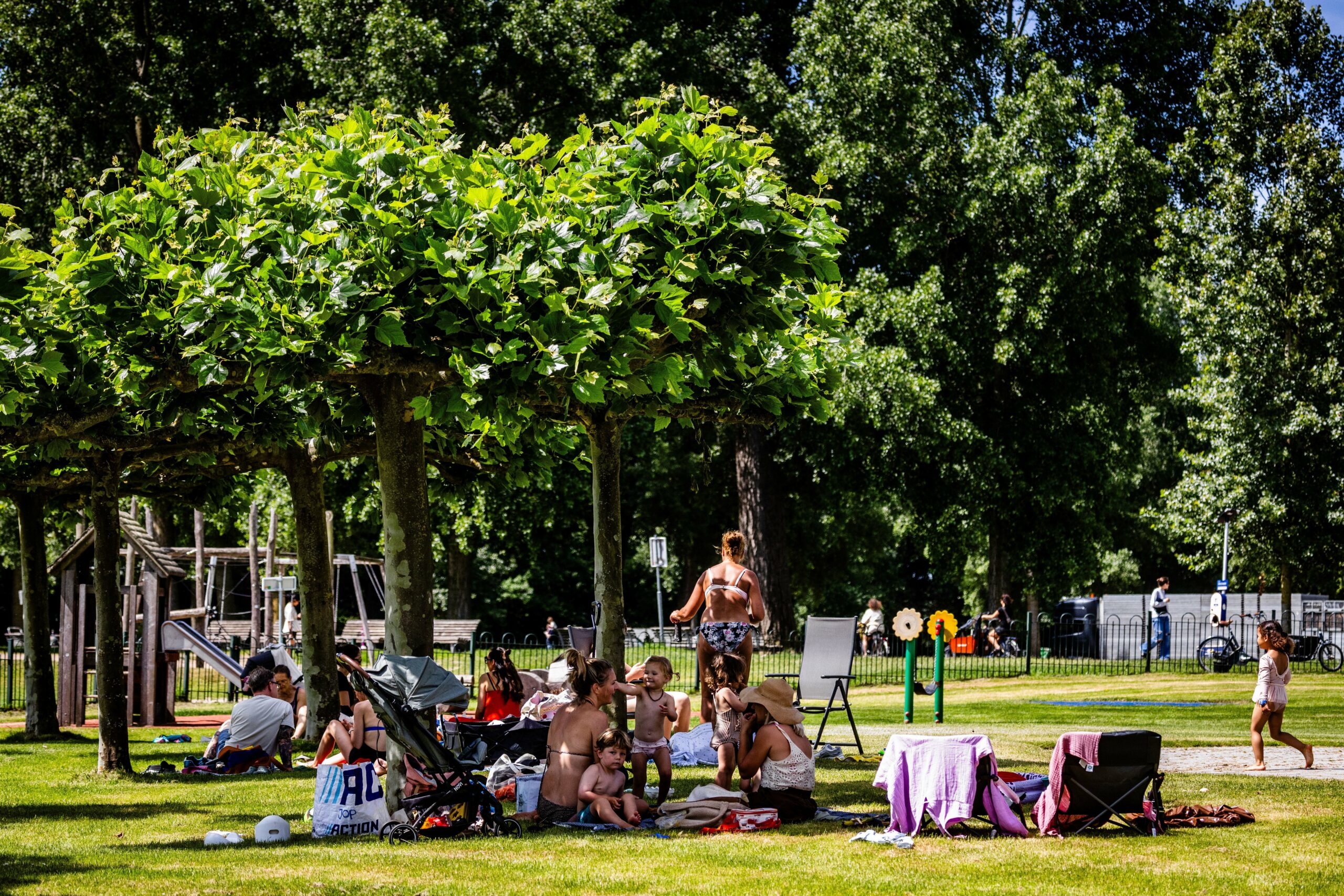 Very warm weather and oppressive heat coming: extra shade tents at Pinkpop and runners will lose registration fees