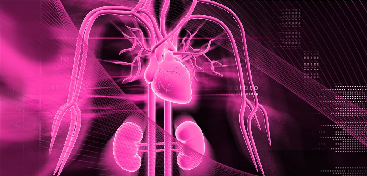 Why Routine Screening for Kidney Insufficiency in CAD Matters