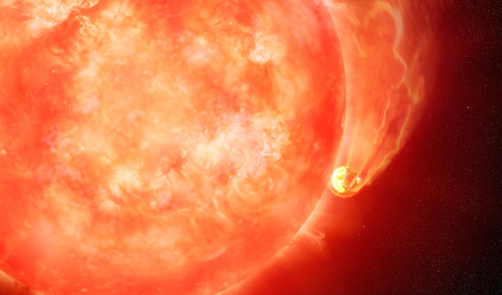 Will Earth Survive the Sun’s Demise? Tidal Forces vs. Orbital Expansion
