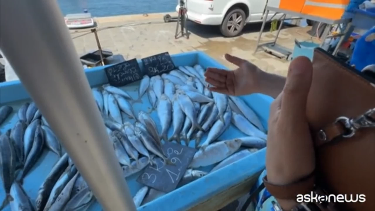Women fishermen in Italy, from the Po Delta to Sicily