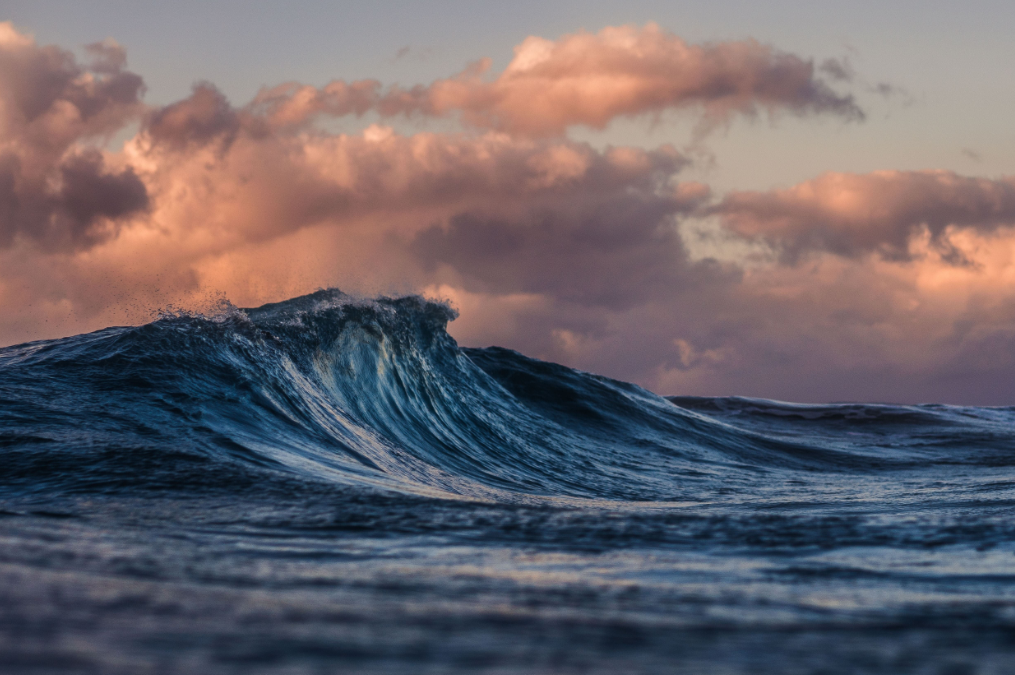 world-oceans-day-2026
