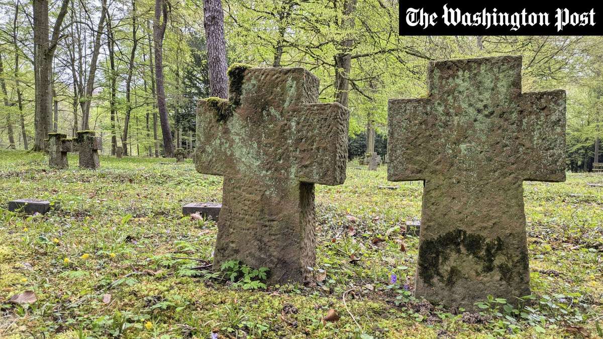 Ancient Siberian Graves Reveal DNA Secrets of Fatal Plague Outbreaks