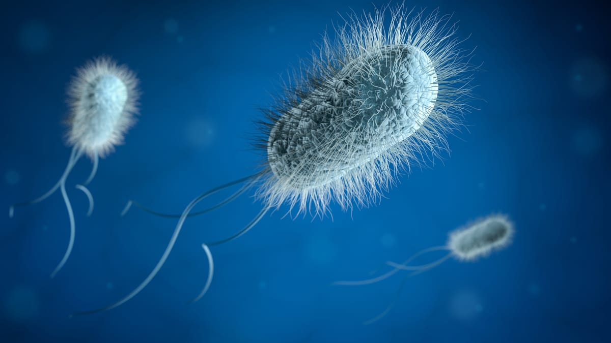 Antibiotics Useless: How Fast Resistance Mechanisms Emerge