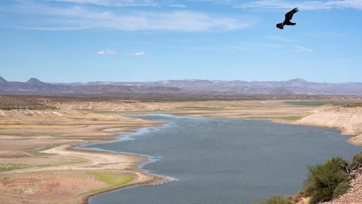 Arizona’s Stunned: Only 1% Water Left in Shrinking San Carlos Lake