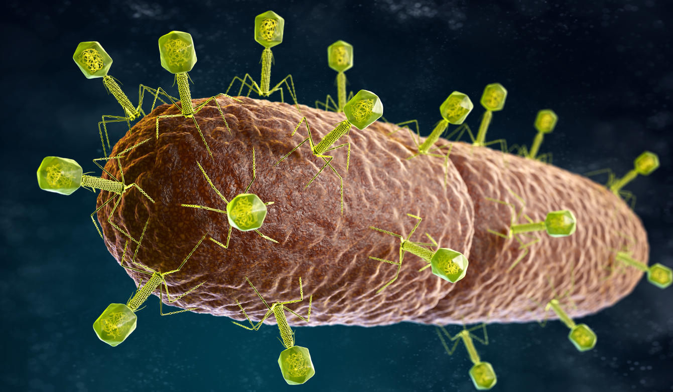 Can Bacteriophages Alleviate Crohn’s Disease Symptoms? Discover the Solution!