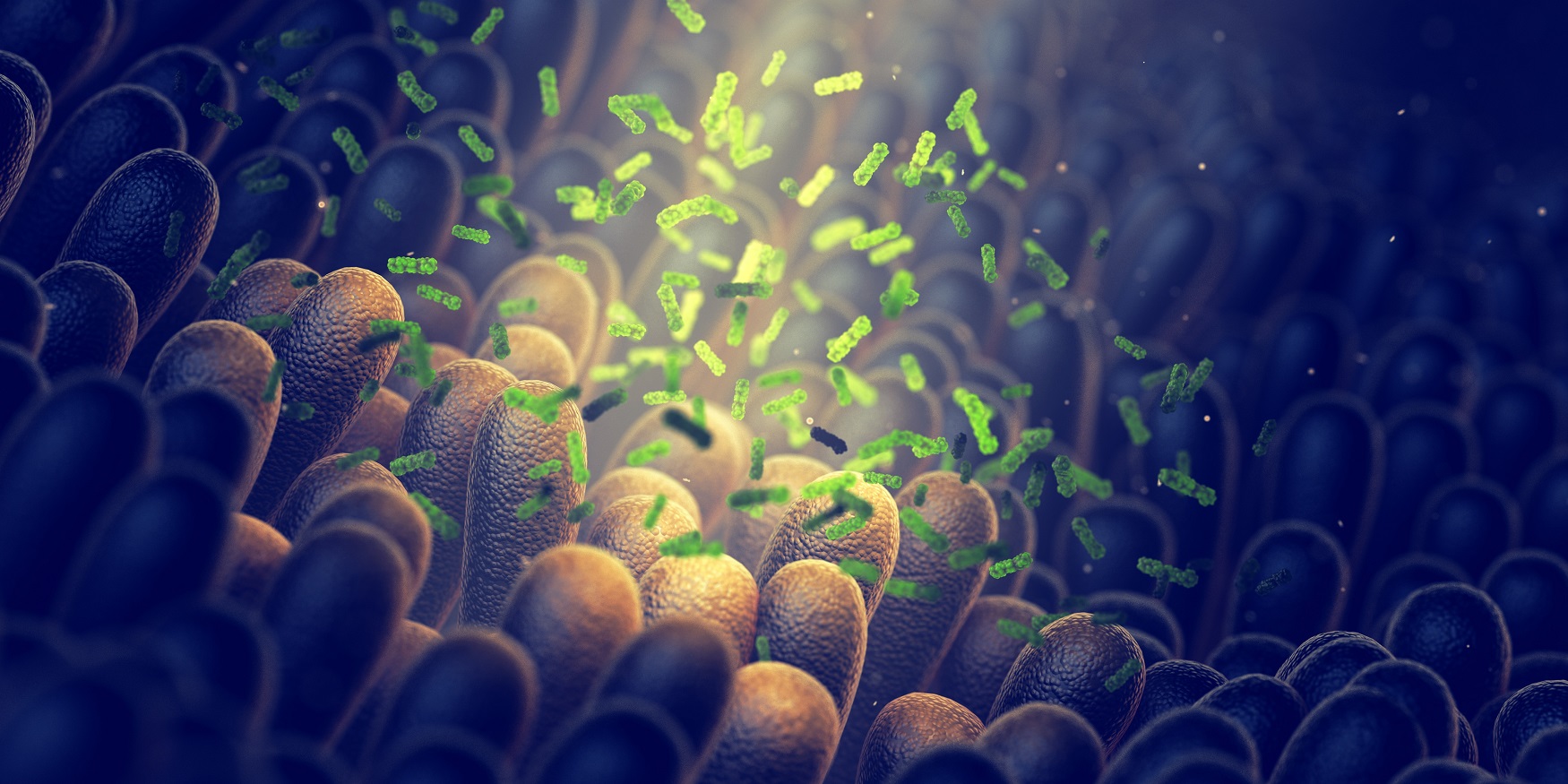 Can Gut Flora Predict Type 2 Diabetes Years in Advance?