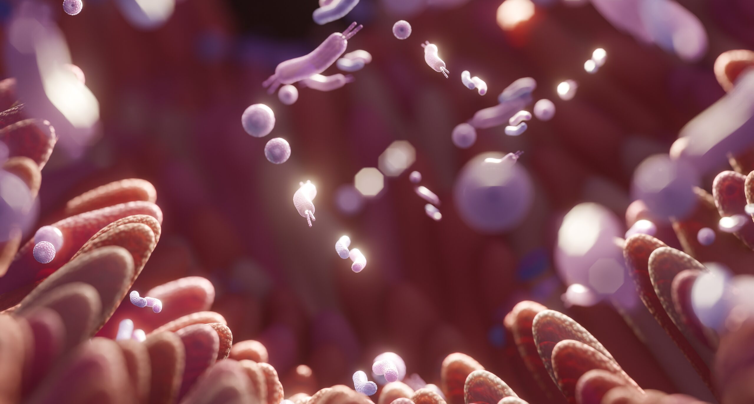 Could Gut Bacteria Hold the Key to Protecting Against Multiple Sclerosis?