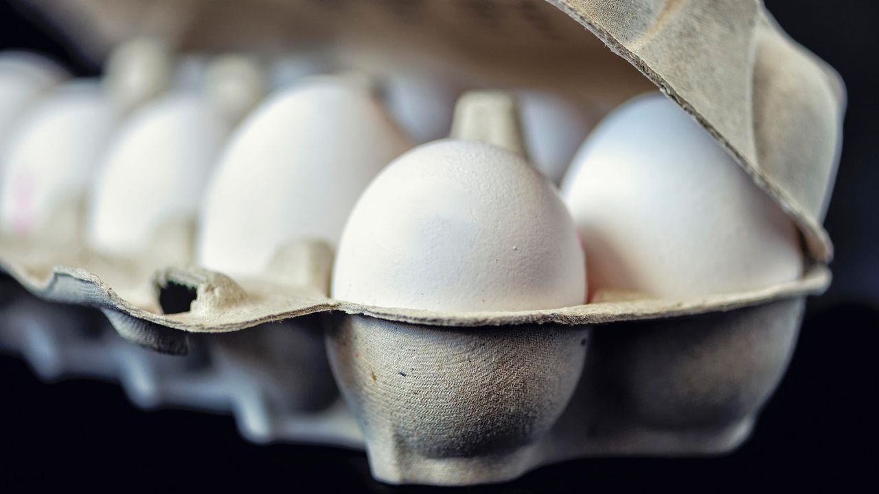 Discounter Limits Egg Purchases to Two Packs in Northern and Eastern Germany