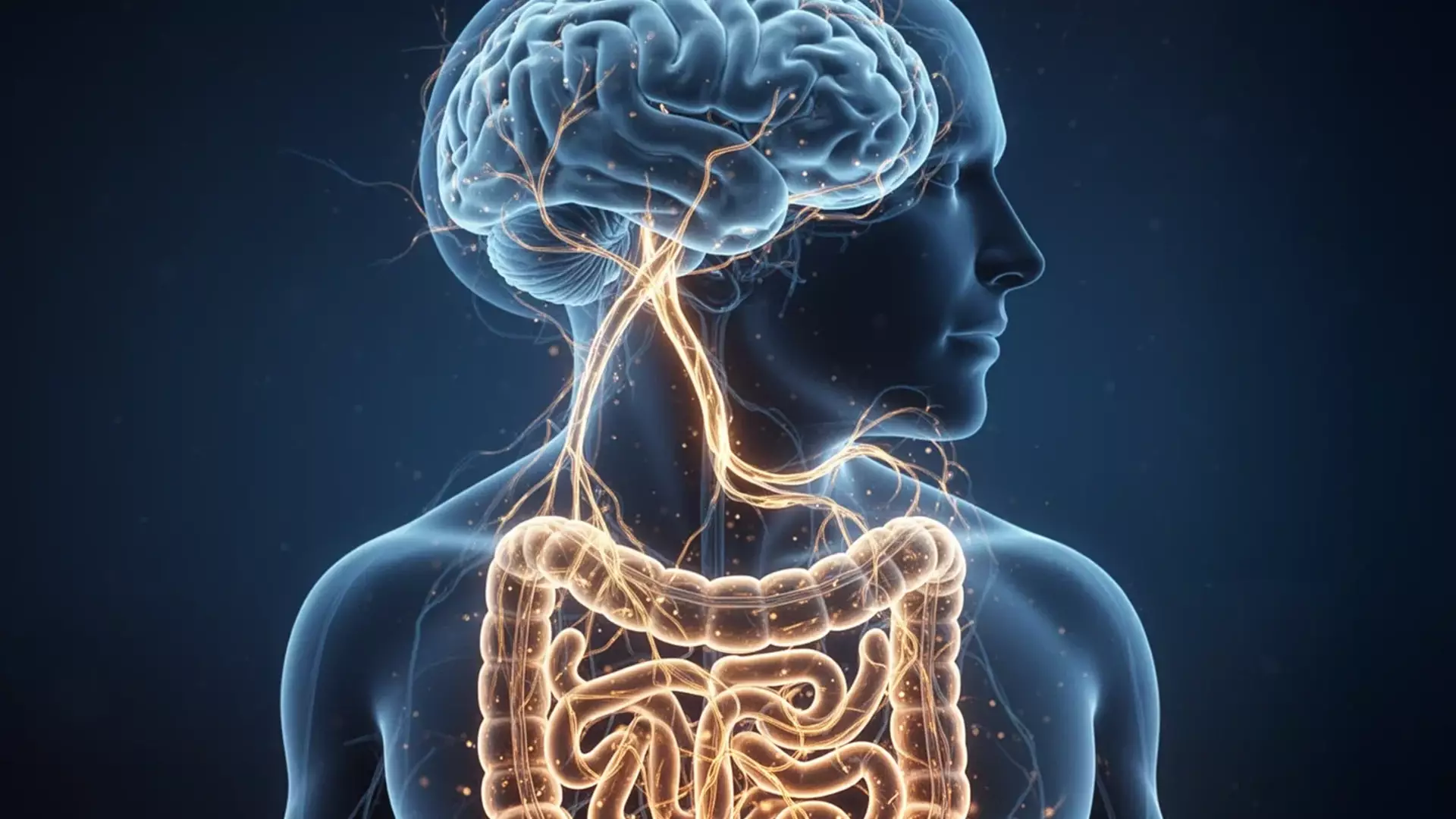 Discover How Anti-Inflammatory Diet Reduces Dementia Risk by 29%
