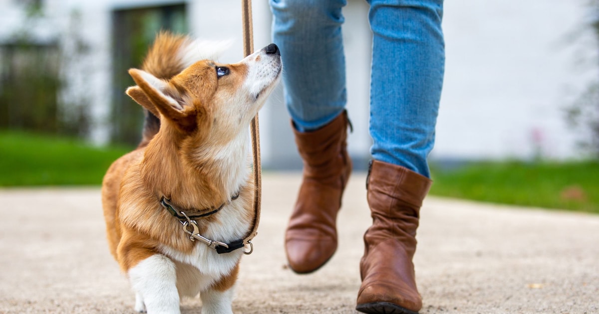 Discover Your Fitness in Seconds: The 6-Meter Walk Test Explained!