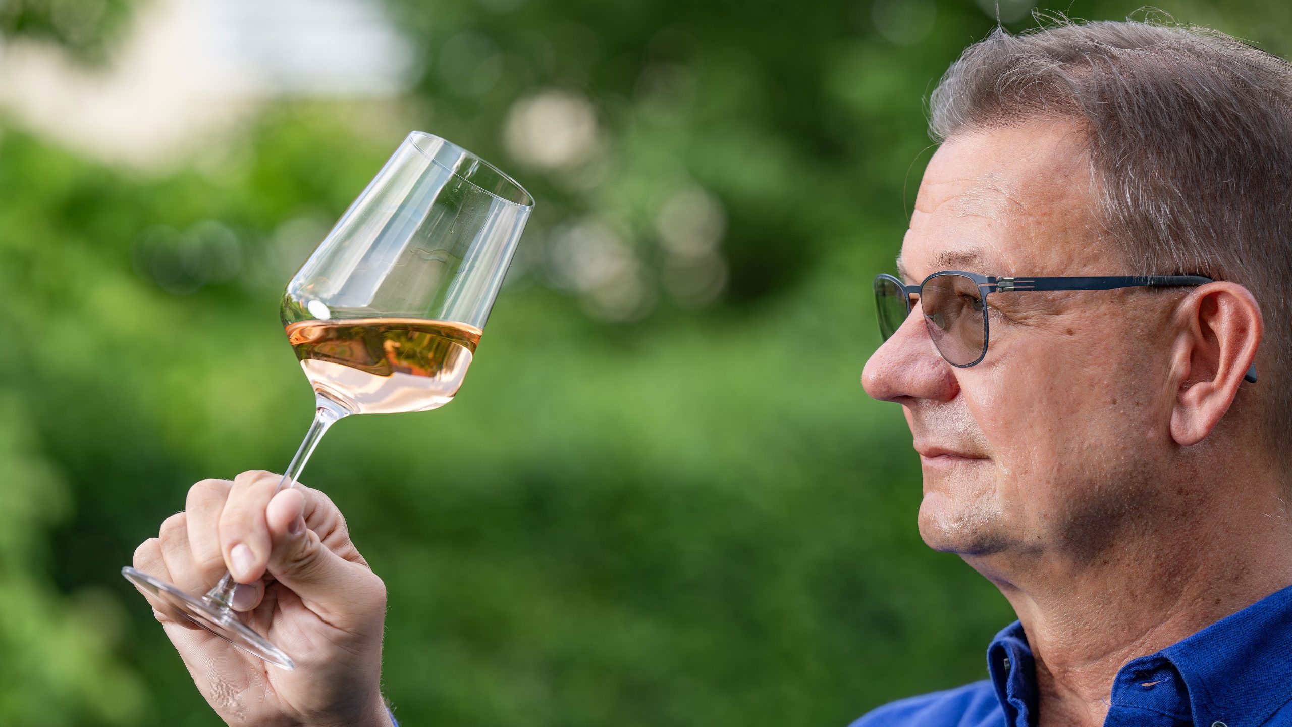 Discover the Best French Rosé Wines: Summer’s Essence in a Glass