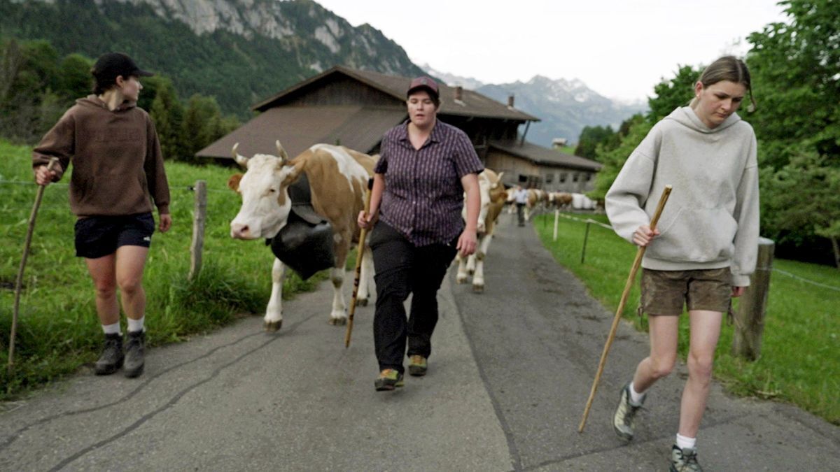 Discover the Latest Reality and Docuseries Excitement at RTLZwei’s Festival!