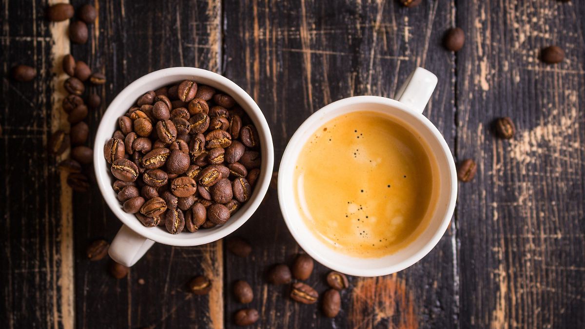 Discover the Top Coffee Shops of 2026: Quality, Service, and Ambiance