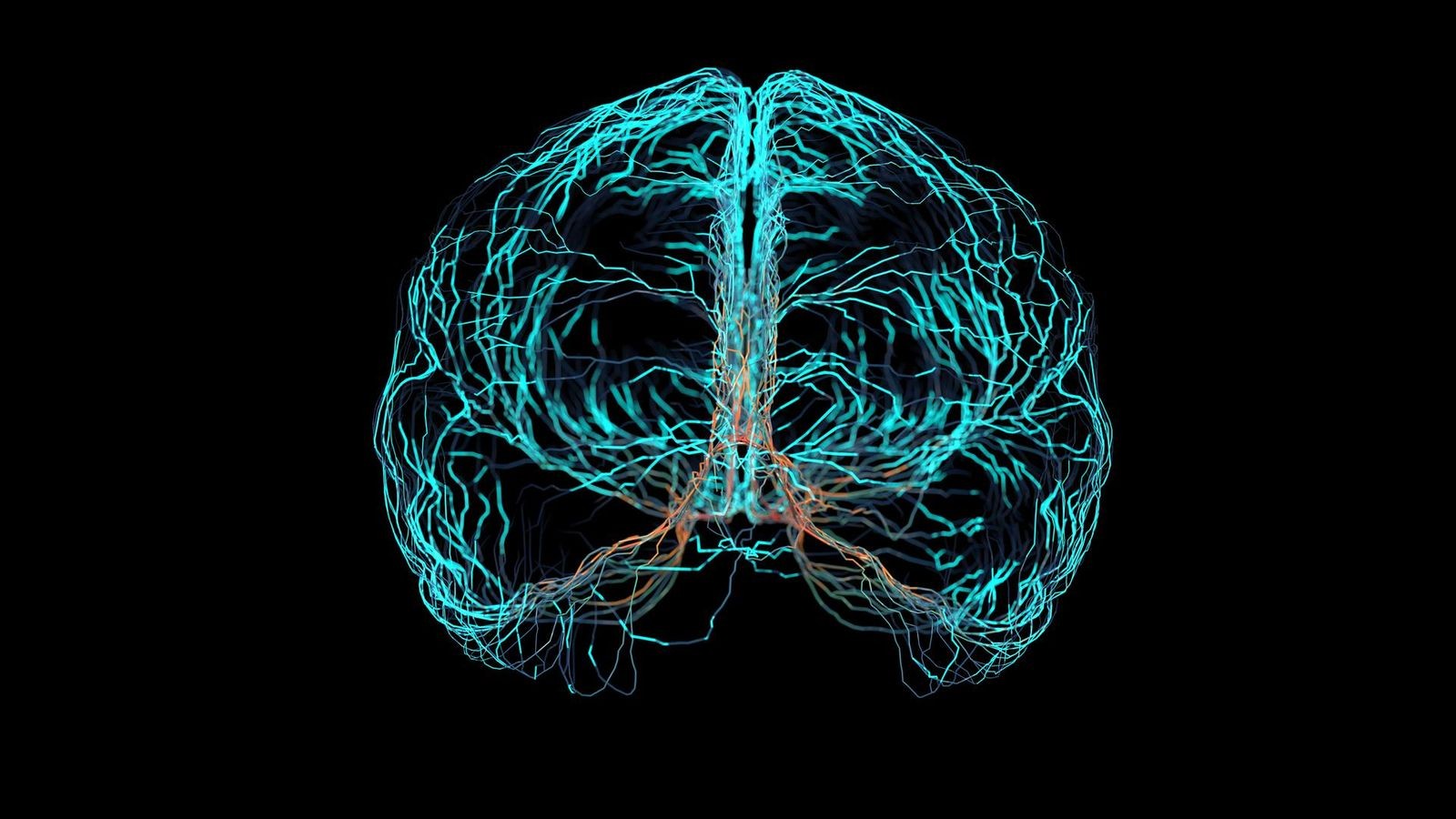 Discovering the Hidden Network of Star Cells in Your Brain