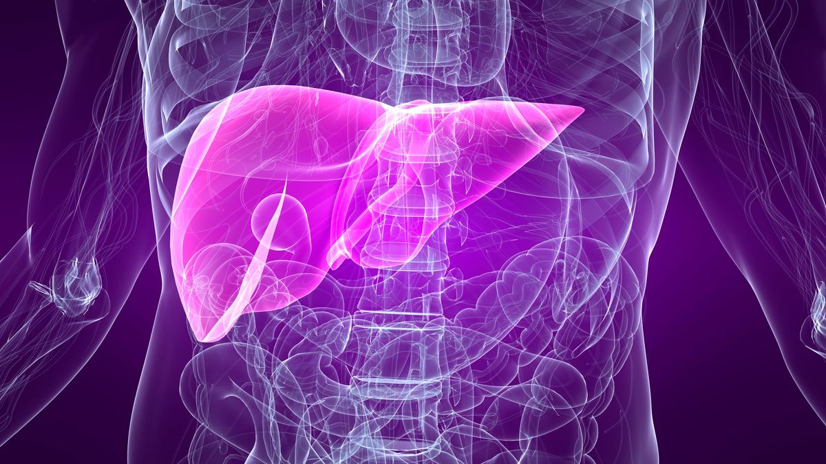 Early Detection of MASLD, ALD, and Hepatitis in Primary Care: Key Insights