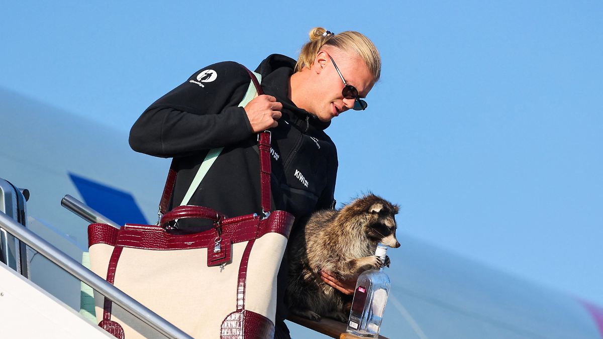 Erling Haaland’s Controversial Departure: Fashion Show Over WM Celebration