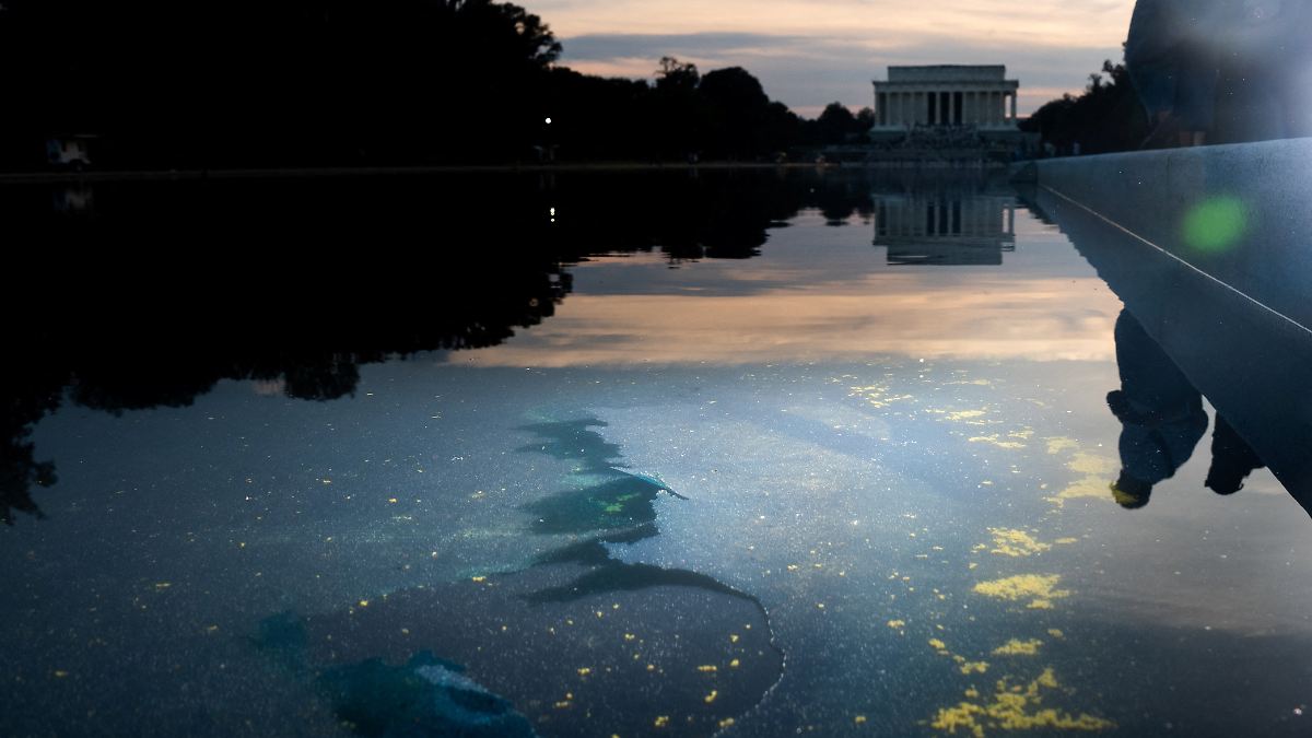Ex-Olympian Faces Up to 10 Years in Prison for Reflecting Pool Damage