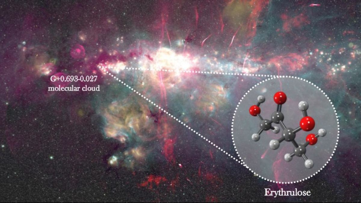 First Discovery of Sugar in Space: A Key Building Block of Life