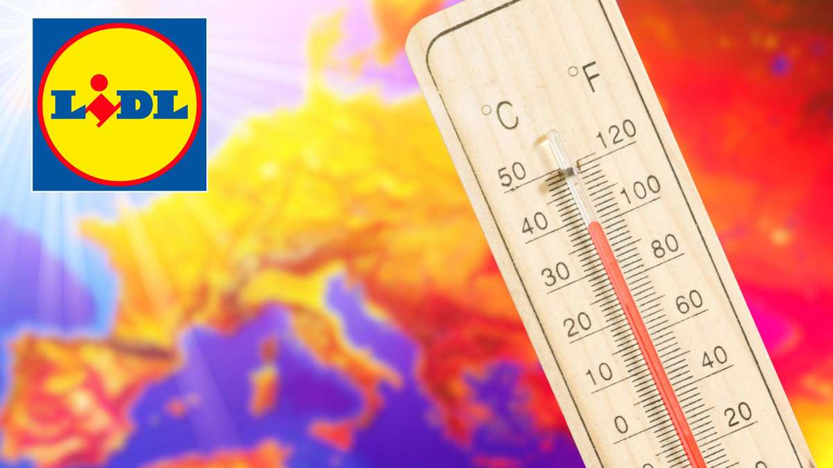 Get the 3-in-1 Air Cooler at LIDL Now 52% Off – Limited Time Offer!