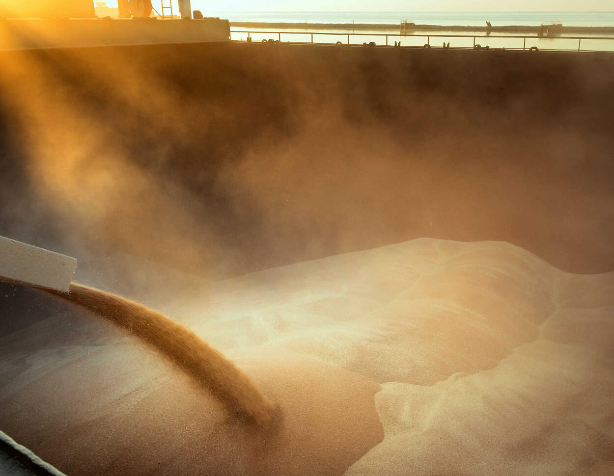 Grain Prices Soar: Panic in Markets Amid Attacks on Russian Grain Ships