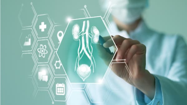 Guidelines for Treating Urinary Tract Infections: Key Insights from the 2024 S3 Guidelines