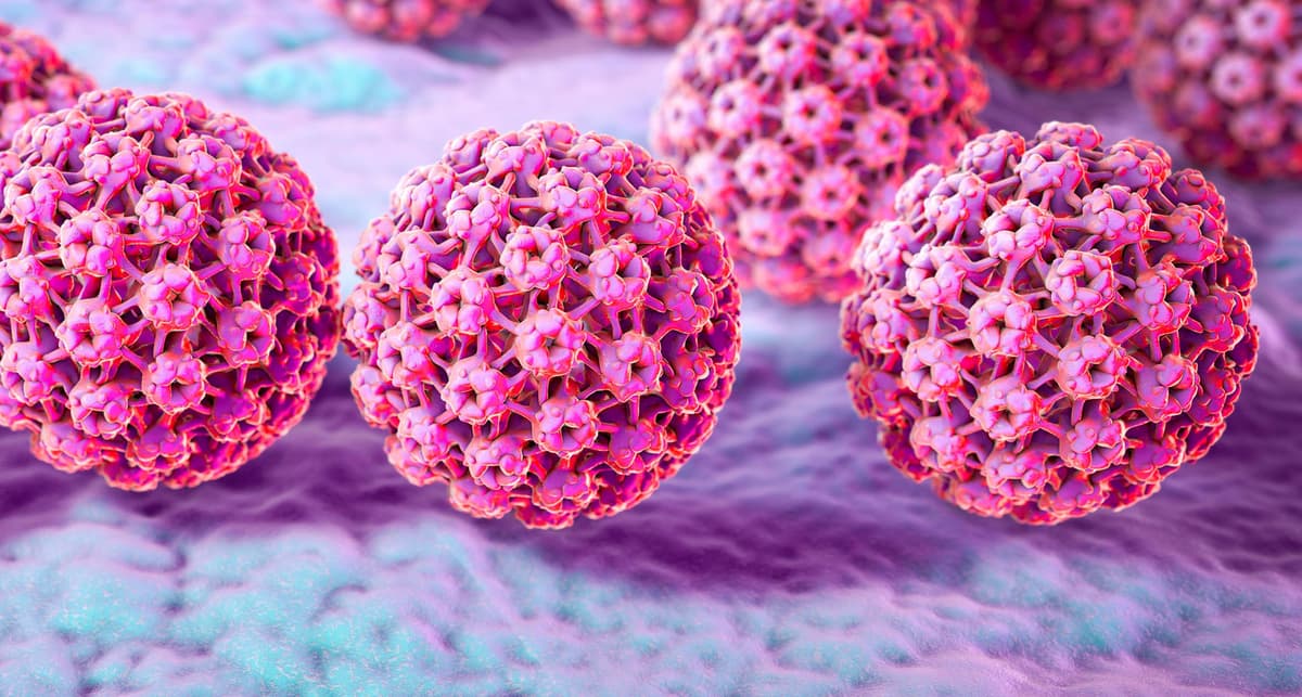 HIV Elevates HPV-Related Cancer Risk More Than Organ Transplantation