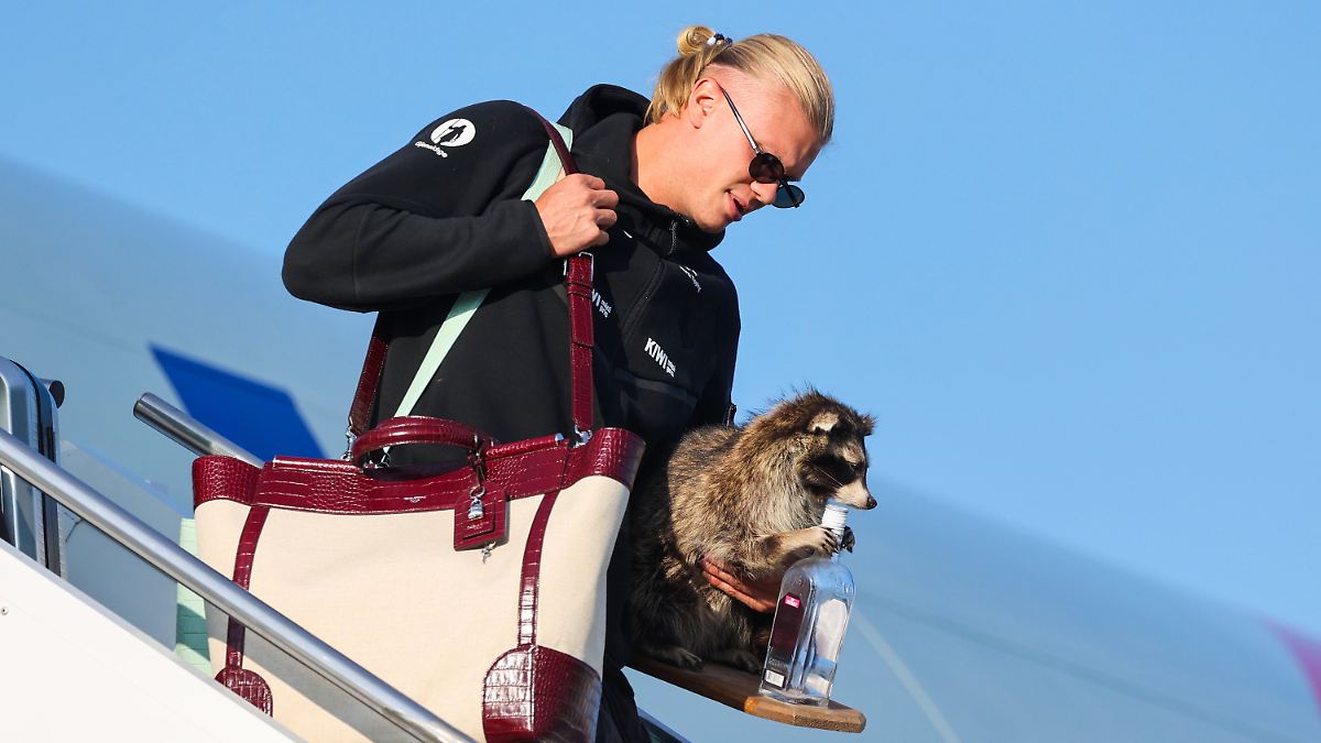 Haaland’s Raccoon Surprise: Norway’s Viking Party Welcomes Home Stars!