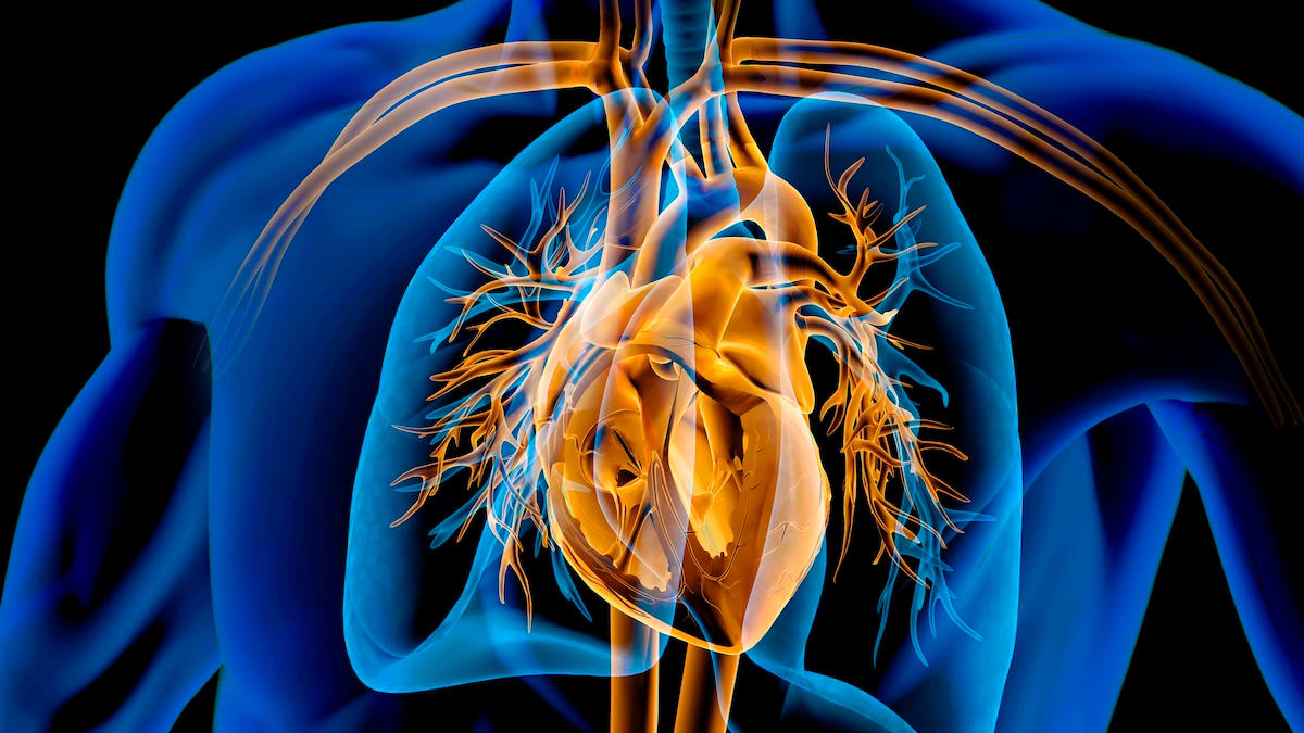 How Diet Impacts Survival Rates in Heart Disease Patients: Key Insights