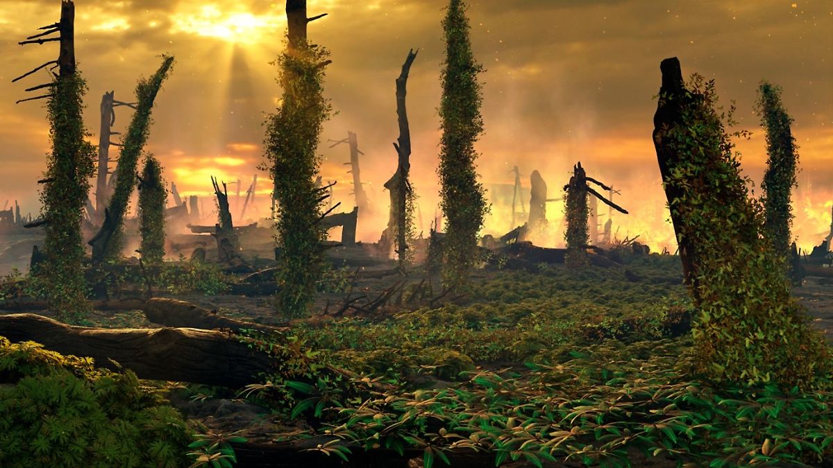 How Ferns Fueled Ancient Wildfires: A Hellish Era in Europe