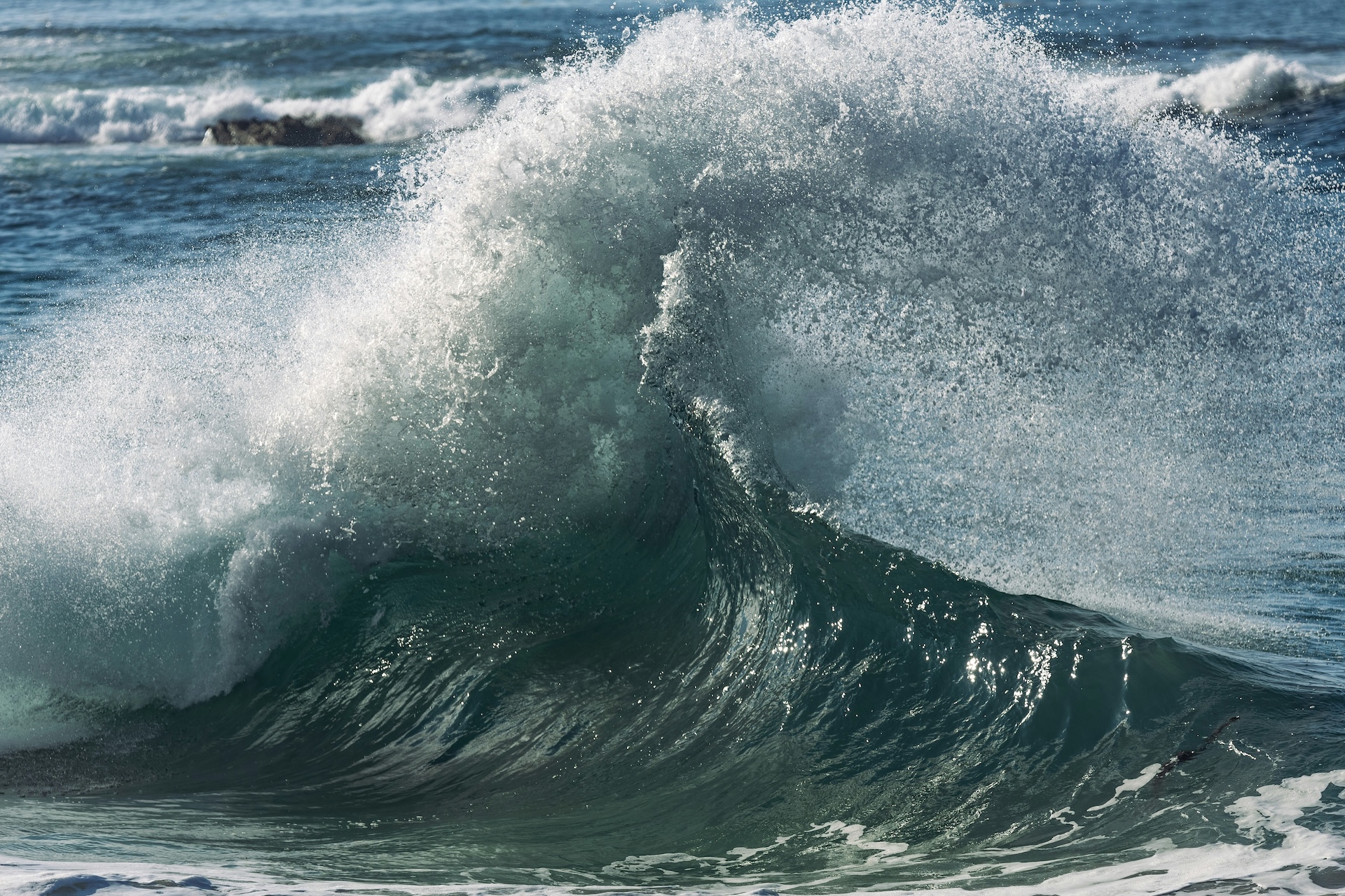How Freshwater Salinization Disrupts Ecosystems: Surprising Discoveries Unveiled