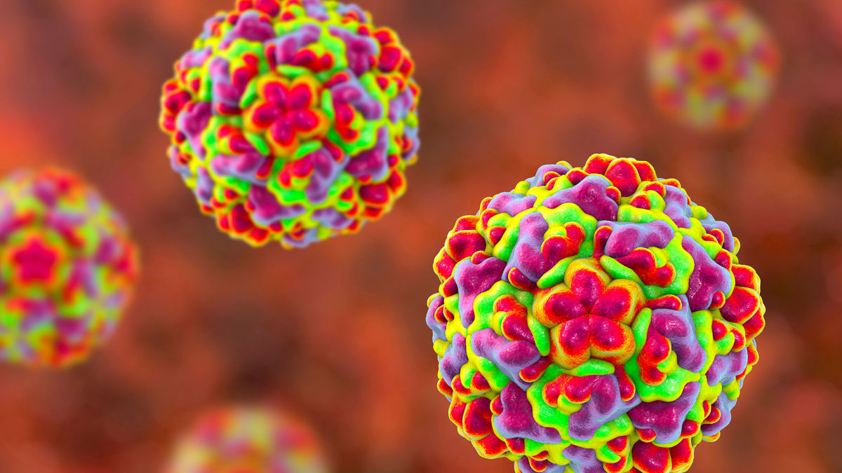 How Rhinoviruses Impact Asthma: Key Insights and Findings Revealed