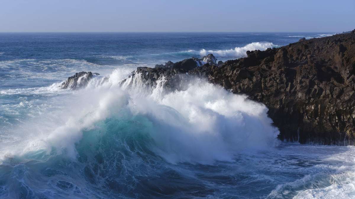 How Saltwater Intrusion Reshapes Microbial Life in Freshwater Ecosystems