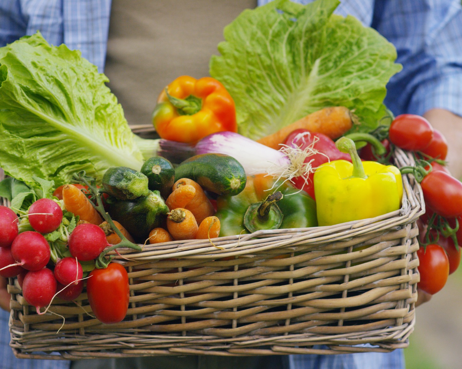 Hyperfoods: Discover How Carrots & More Mimic Cancer Medications