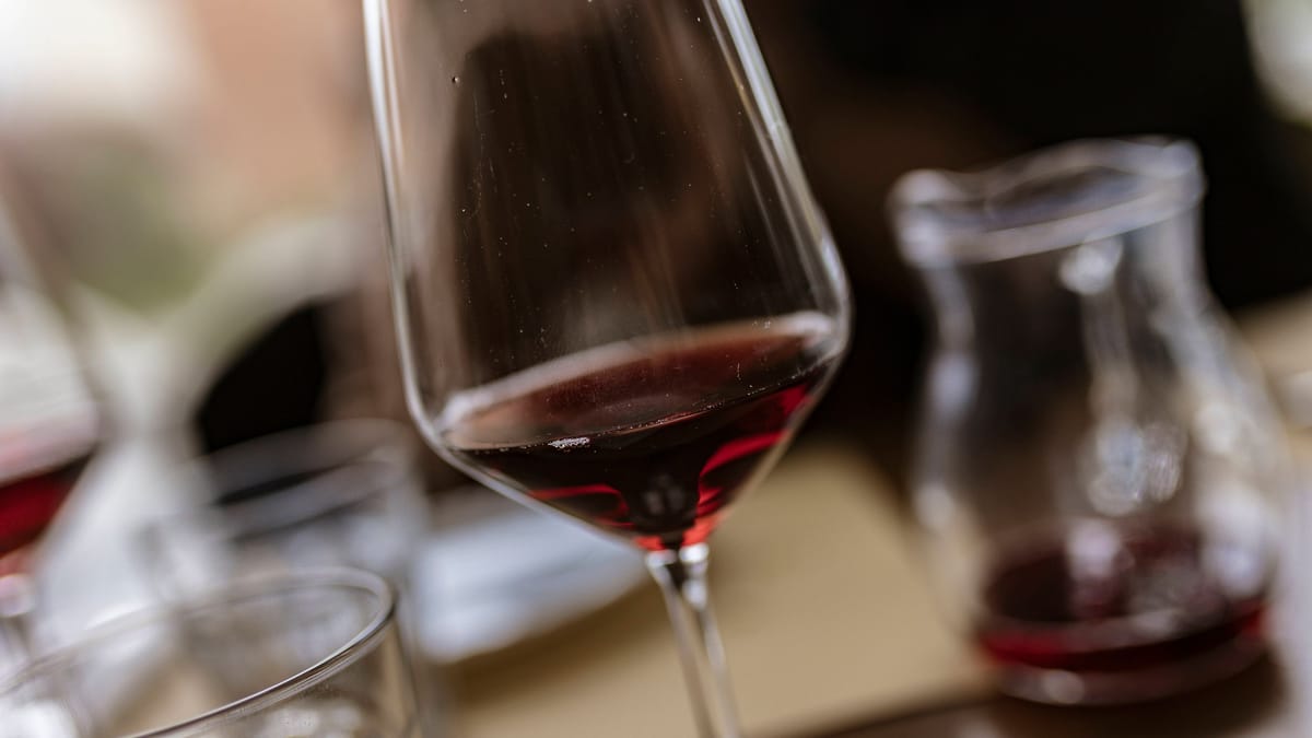 Insolvency Crisis Hits 900 Winemakers: Will “Winzer von Baden” Survive?