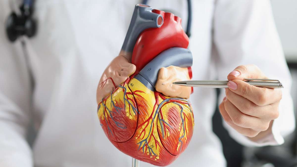 Is Melatonin Dangerous for Heart Health? What New Research Reveals