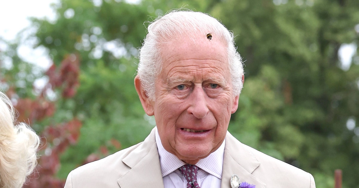 King Charles Unbothered: A Fly’s Mischief at Sandringham Flower Show!