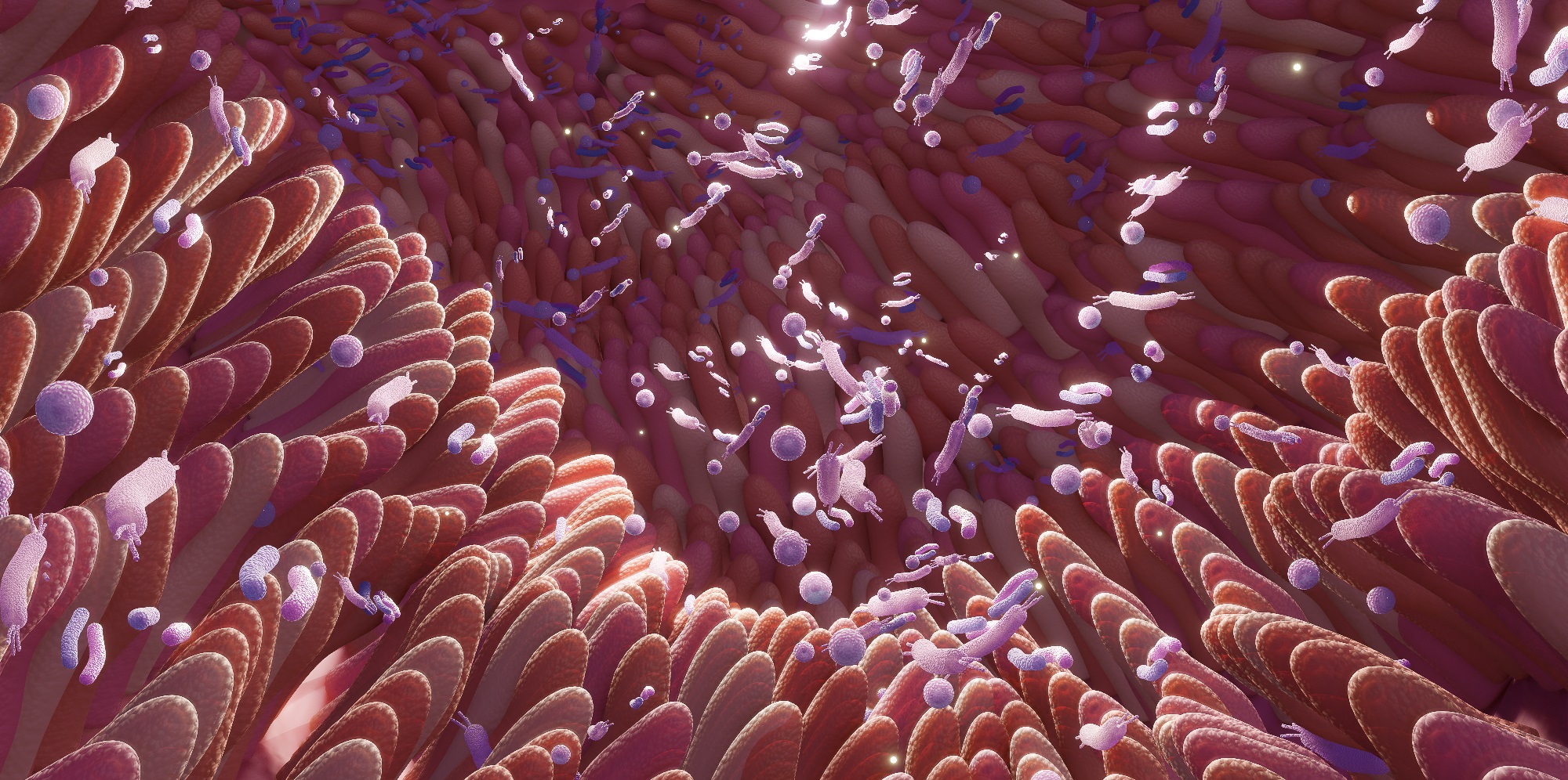 Lupus Treatment Breakthrough: Probiotic Bacteria Shows Promising Results