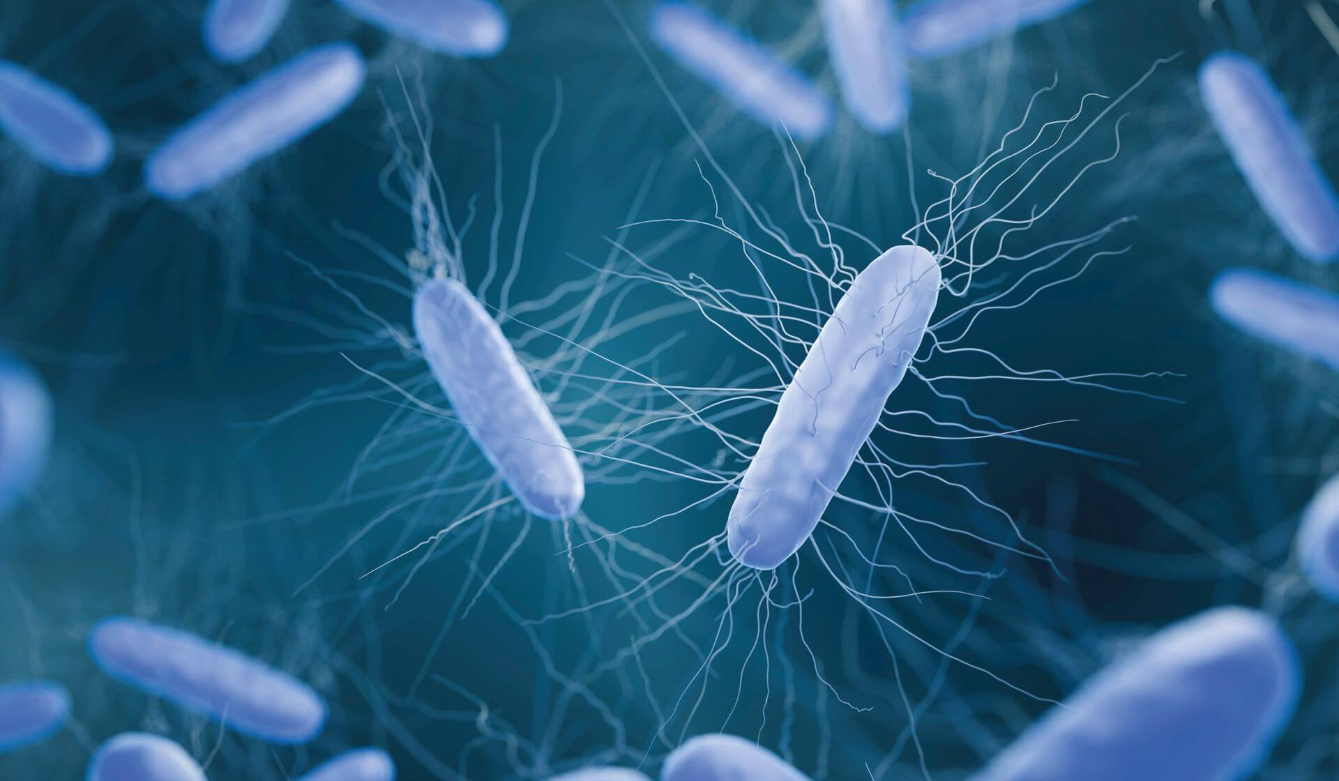 Medications That Increase the Risk of Clostridioides Infections Revealed