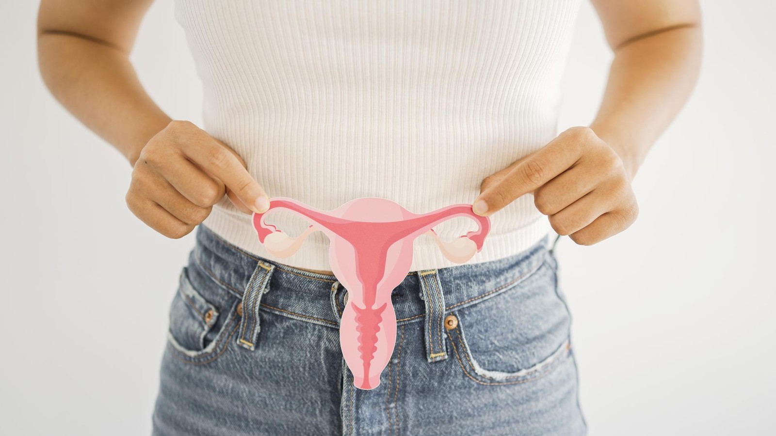 Menopause Breakthrough: New Role of Ovaries Revealed in Study