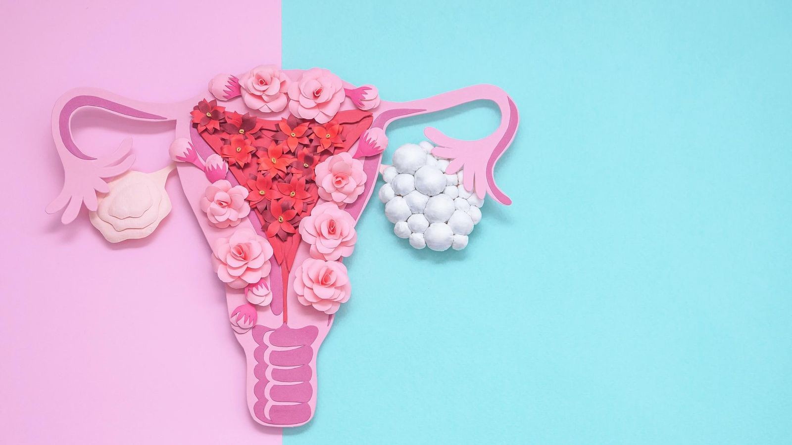 Menopause: Do Ovaries Take on New Roles After Reproductive Years?