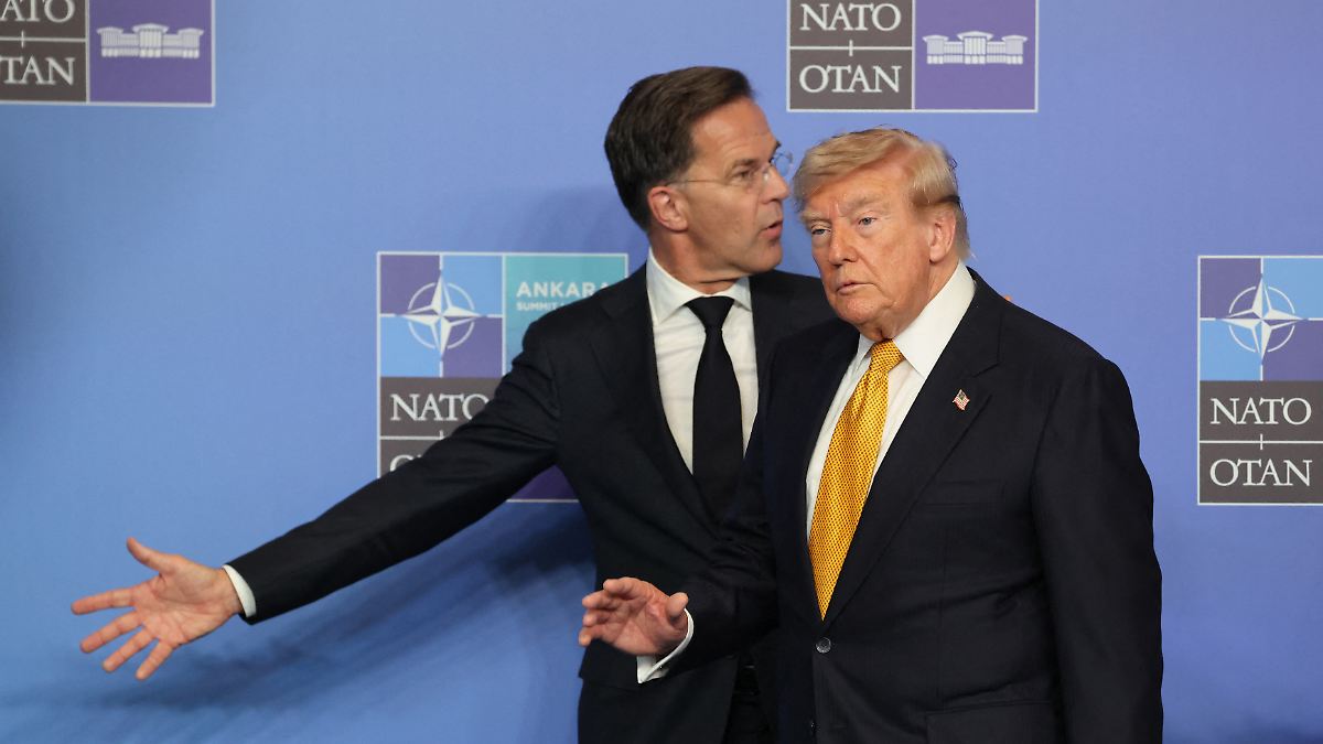 Merz Defends Rutte: Does His Obedience to Trump Hurt His Dignity?