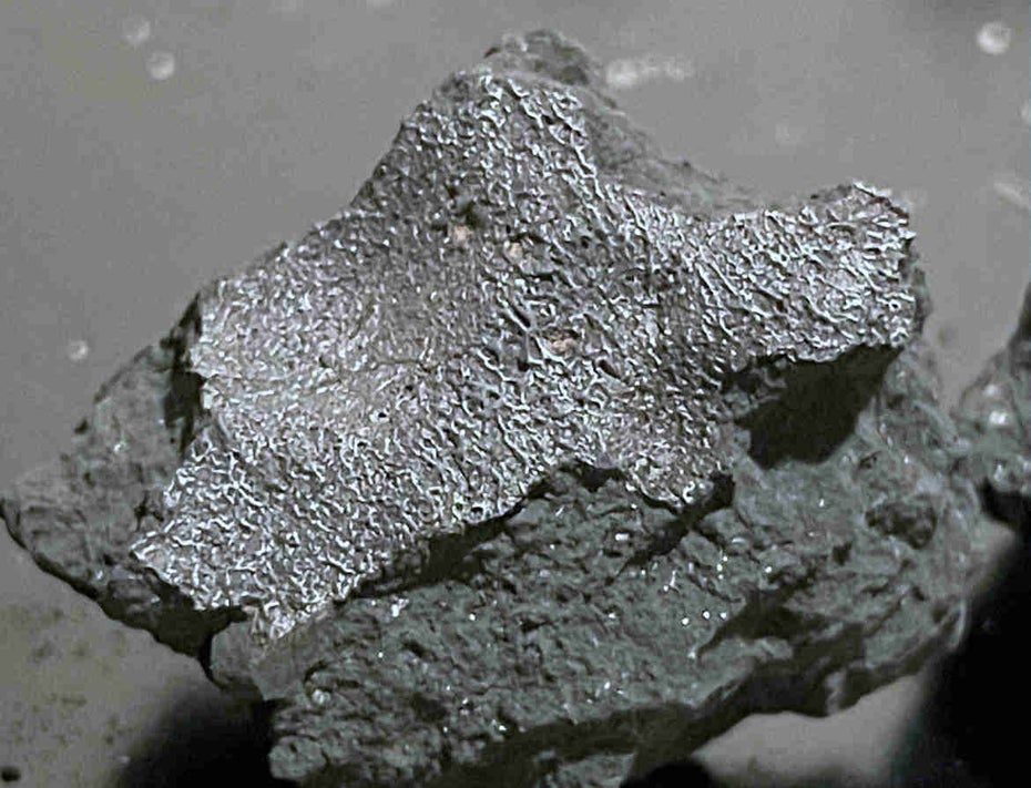 Meteorite Crashes into Bedroom, Reveals Building Blocks of Life!