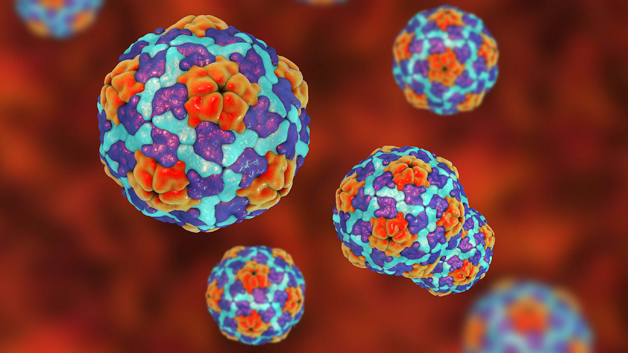 Mistery Virus Alert: Rewe’s Frozen Berries Linked to Hepatitis Outbreak!