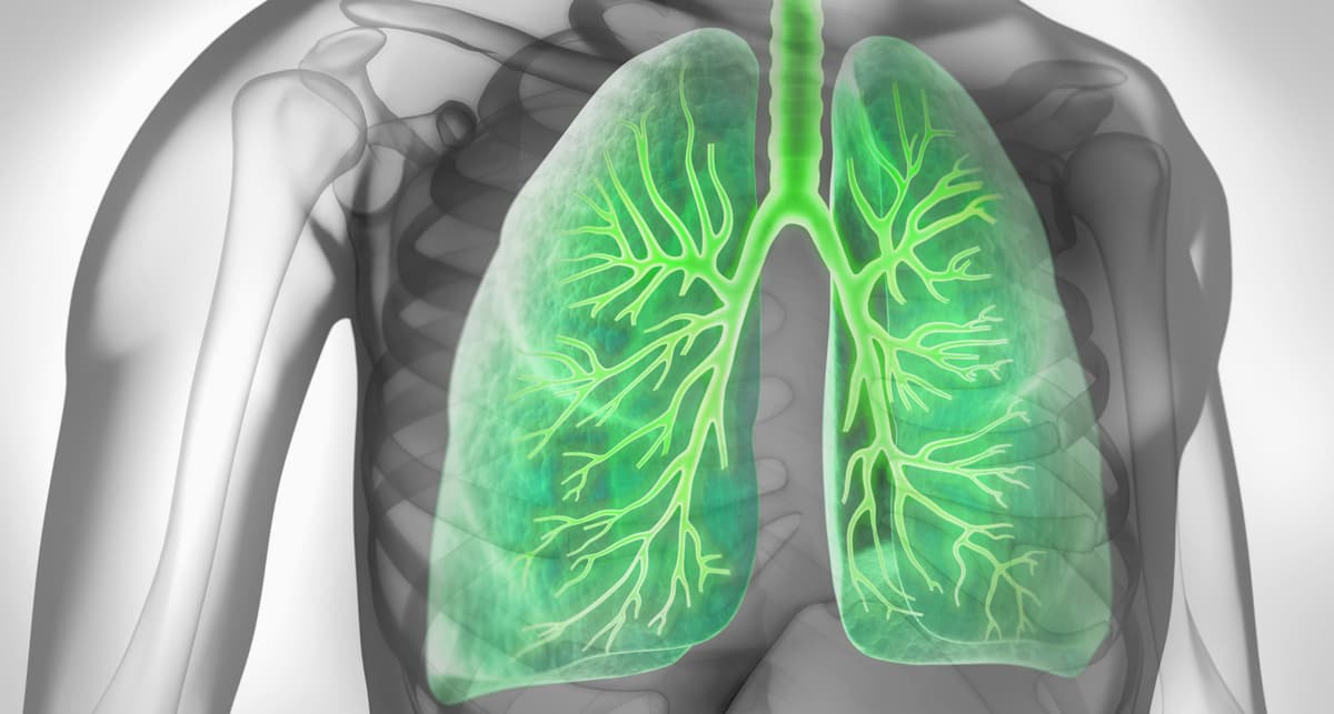 Mixed Results for Astegolimab in COPD Exacerbations: What You Need to Know